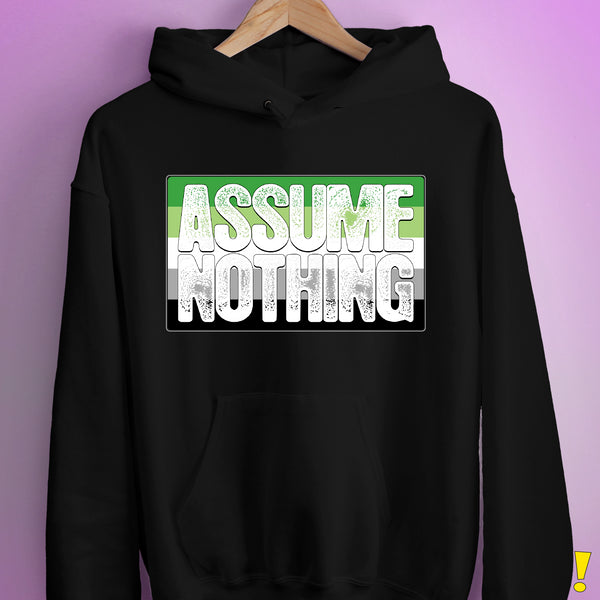 Assume Nothing Aromantic Pride Flag Hoodie - Black